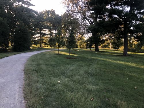 A winding gravel path through a lush green park with trees and sunlight filtering through the leaves.