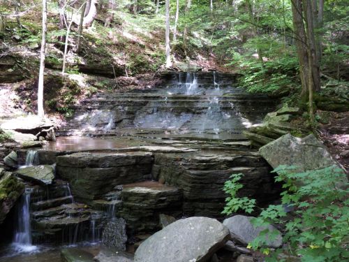 A serene forest scene featuring a cascading waterfall over rocky terrain, surrounded by lush green trees.