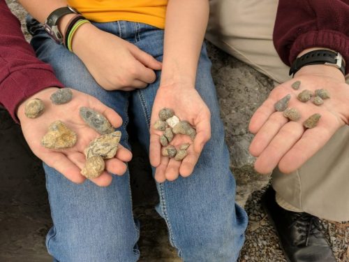 Two hands hold various rocks and fossils, while a third hand rests in between, showcasing a collection of stones.