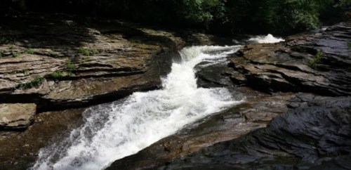 A rushing river flows over rocky terrain, surrounded by lush greenery and trees.