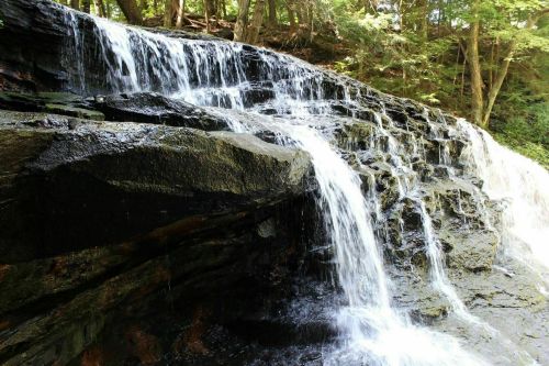 A cascading waterfall flows over dark rocks, surrounded by lush green trees in a serene natural setting.