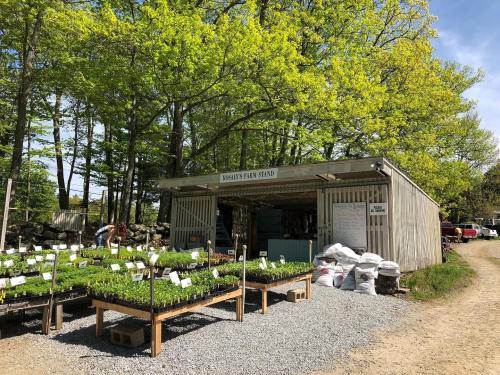 A farm stand with seedlings for sale, surrounded by trees and gravel paths on a sunny day.