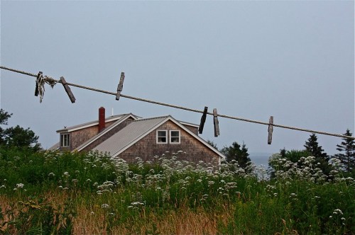 A clothesline with clothespins stretches across a grassy field, with a house and trees in the background under a gray sky.
