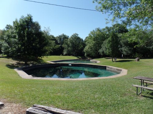 A serene, circular swimming pool surrounded by lush greenery and trees on a sunny day.