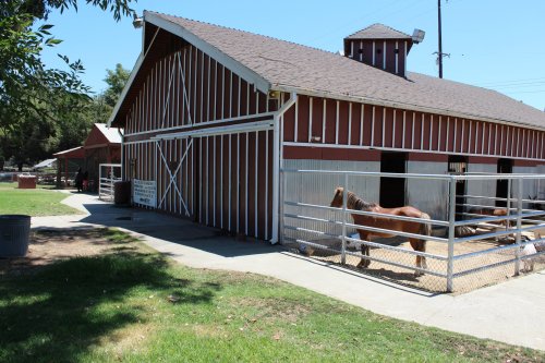 A brown horse stands in a fenced area next to a red barn on a sunny day, with green grass in the foreground.