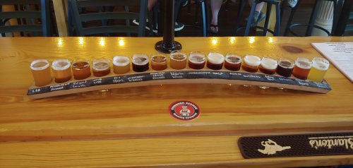 A wooden flight board with 16 small glasses of various craft beers arranged in a row on a bar counter.