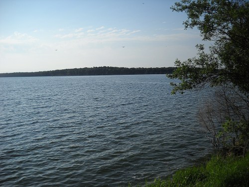 A serene lake view with calm water, green foliage on the shore, and a clear blue sky in the background.