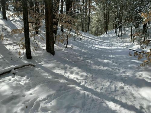 A snowy forest path surrounded by trees, with footprints leading through the fresh snow.