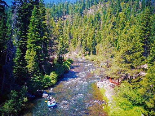 Aerial view of a river winding through a lush forest, with a small group rafting on the water.
