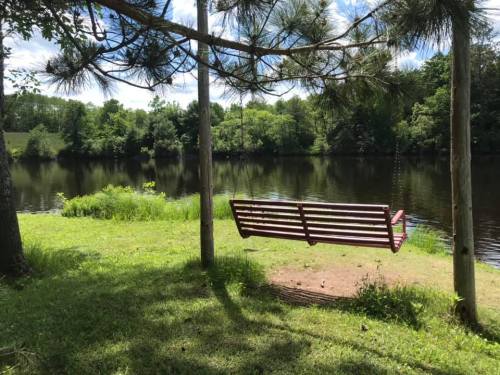 A red swing hangs from a tree near a calm river, surrounded by lush greenery and blue skies.