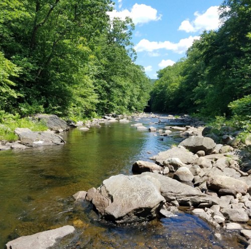 A serene river flows through a lush green forest, with smooth rocks lining the water's edge under a bright blue sky.