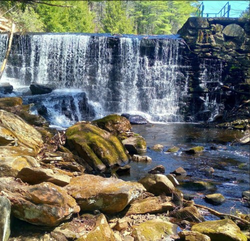 A serene waterfall cascades over rocks, surrounded by lush greenery and a clear stream below.