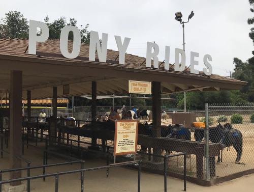 Sign for "Pony Rides" at a stable with ponies in pens and a fenced area in the background.