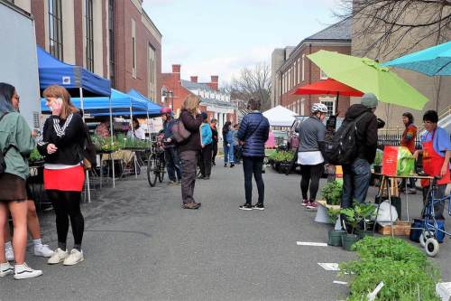A bustling outdoor market with people browsing plants and goods under colorful tents on a sunny day.