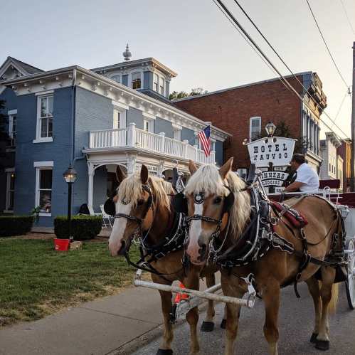 A horse-drawn carriage with two horses in front of a blue hotel building, with an American flag visible.