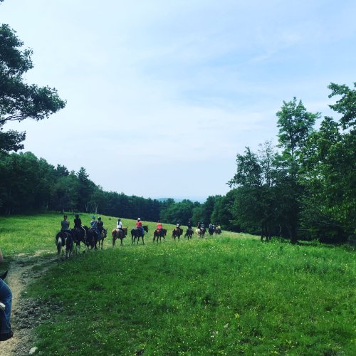 A group of people on horseback riding through a lush green field under a clear blue sky.