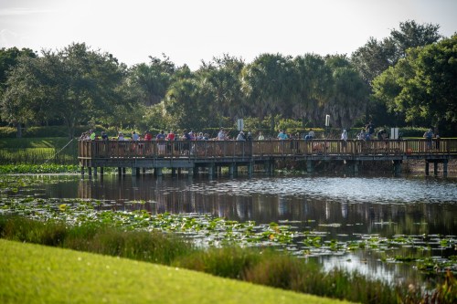A wooden bridge over a calm lake, with people gathered on it and lush greenery surrounding the area.