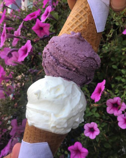 A hand holding a waffle cone with two scoops of ice cream: one purple and one white, surrounded by pink flowers.