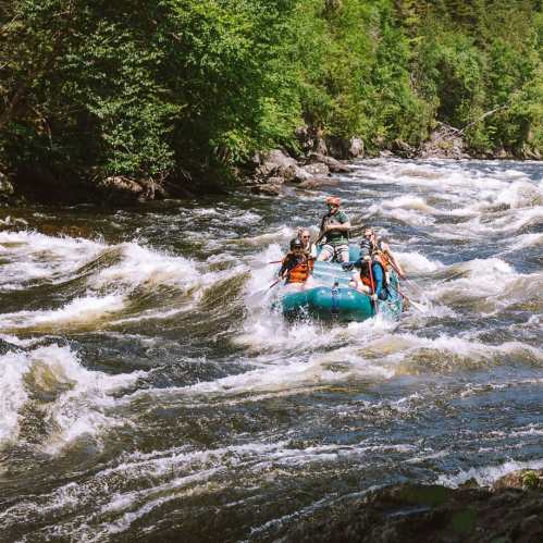 A group of people white-water rafting on a river surrounded by lush green trees.