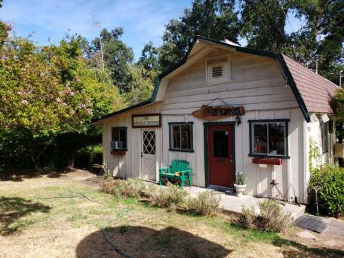 A quaint, white cottage with a green chair in the yard, surrounded by trees and shrubs on a sunny day.