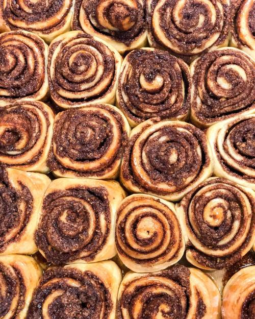 A close-up of freshly baked cinnamon rolls arranged in a grid, showcasing their swirled, sugary tops.