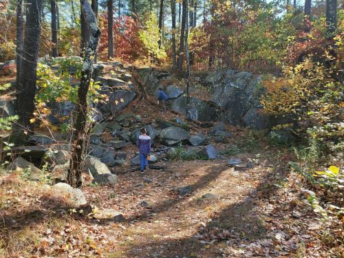 Two people explore a rocky area in a forest with autumn foliage, surrounded by trees and fallen leaves.