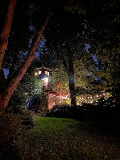 A cozy treehouse illuminated by string lights, surrounded by trees at night.