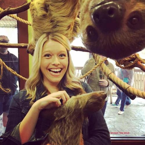 A smiling woman interacts with a sloth hanging above her, surrounded by people in a lively setting.