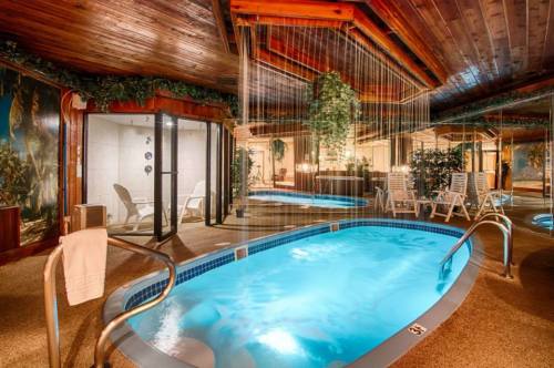 Indoor pool area with a waterfall feature, surrounded by greenery and lounge chairs under a wooden ceiling.