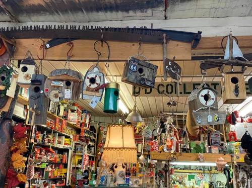 A collection of birdhouses and vintage items hanging in a rustic shop filled with various knick-knacks and decor.