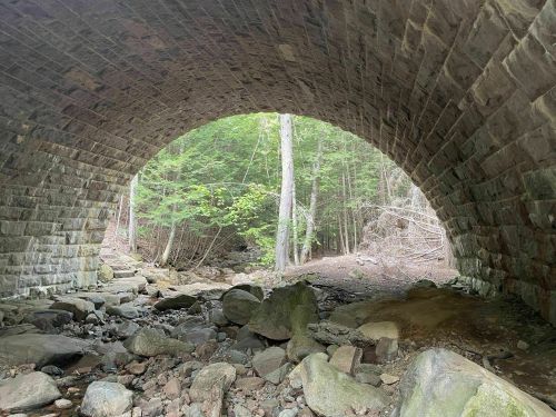 A stone arch bridge viewed from underneath, with trees and a rocky stream visible in the background.