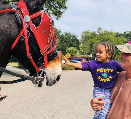 A young girl in a purple shirt reaches out to touch the nose of a horse, while a man watches nearby.