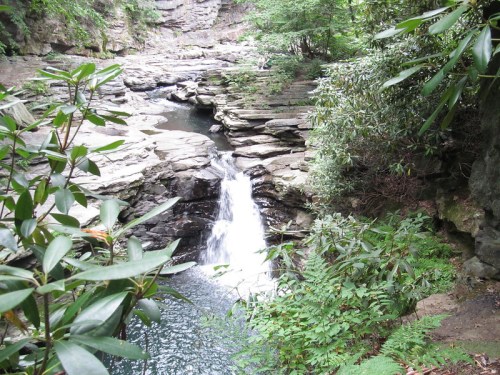 A serene waterfall cascades over rocky ledges into a tranquil pool, surrounded by lush greenery and foliage.