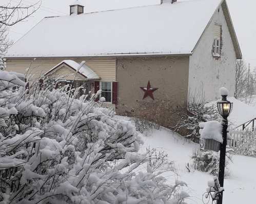 A snow-covered house with a red star on the wall, surrounded by snow-laden bushes and a lamppost.