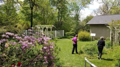 Two people walk through a lush garden with blooming flowers and greenery, surrounded by trees and a building in the background.
