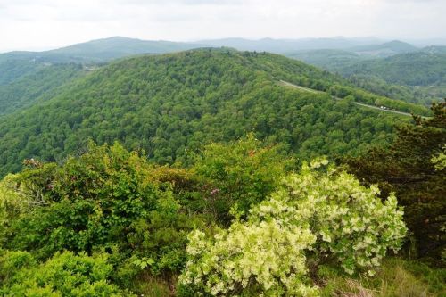 Lush green hills and trees stretch across the landscape under a cloudy sky, with a winding road visible in the distance.