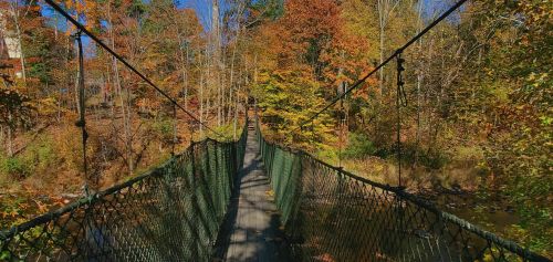 A suspension bridge stretches over a river, surrounded by vibrant autumn foliage in a sunny forest.