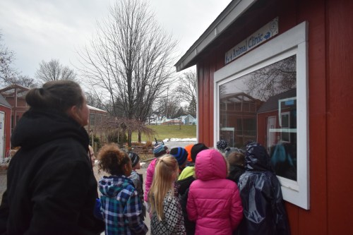 A group of children in colorful jackets gather around a window, looking at an animal clinic on a cloudy day.