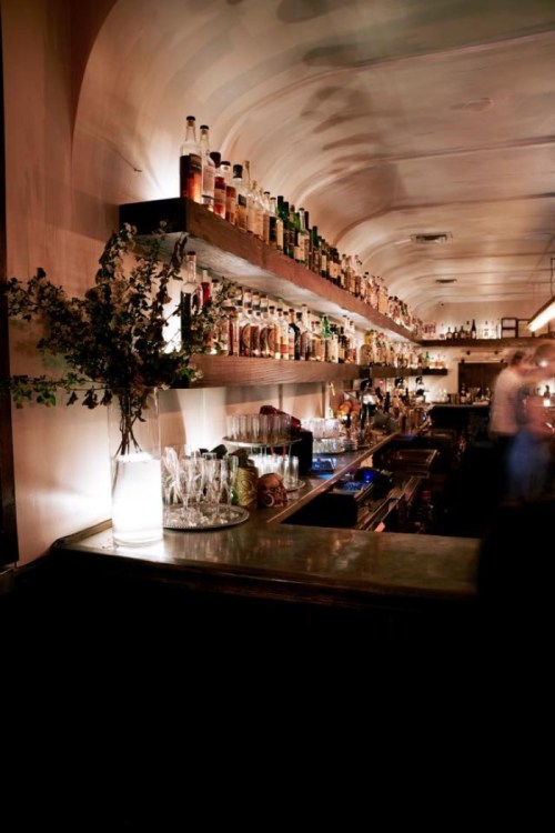A dimly lit bar with shelves lined with various bottles and a decorative plant in a glass vase.