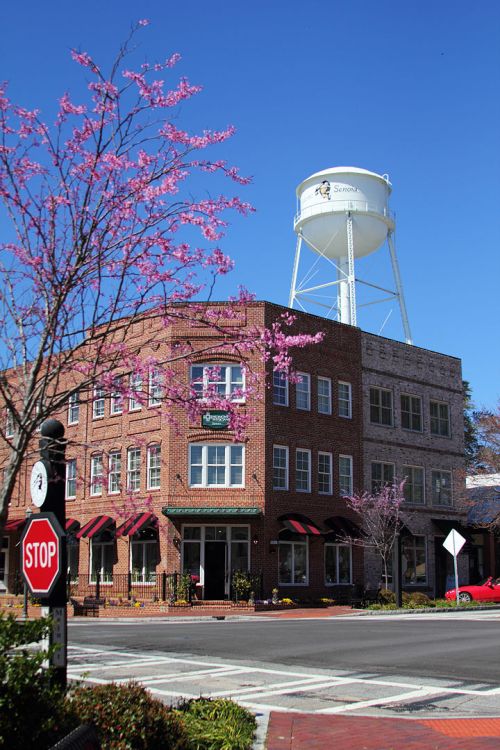 A charming brick building with pink flowering trees and a water tower in a clear blue sky. Street signs visible.