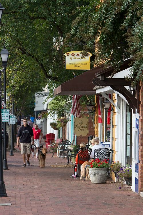 A charming street scene with people walking, outdoor seating, and trees lining the sidewalk. Dogs are present.