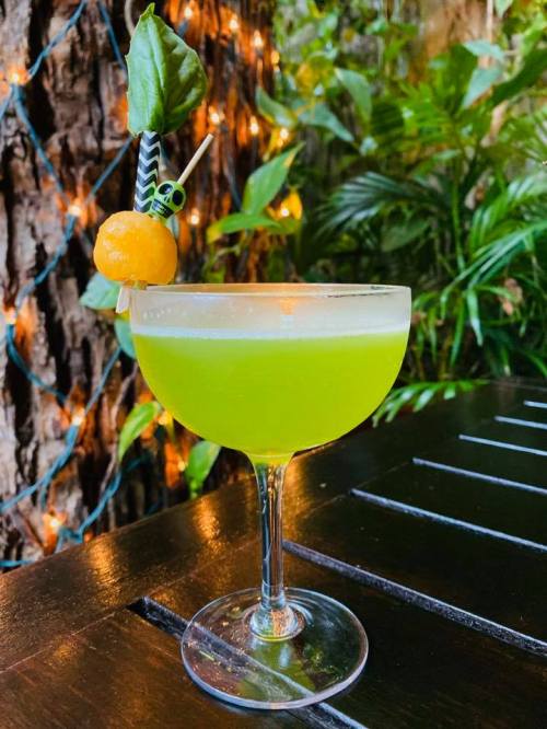 A vibrant green cocktail garnished with a basil leaf and a yellow fruit, set against a lush, tropical background.
