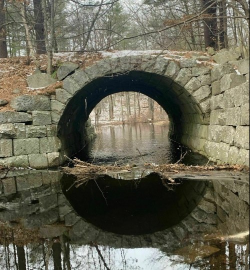 A stone arch bridge over a calm waterway, reflecting the bridge and surrounding trees in a serene forest setting.