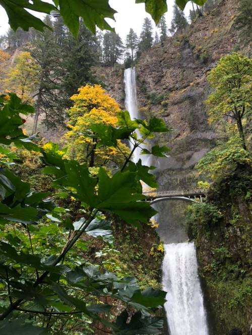 A scenic view of a waterfall surrounded by lush greenery and autumn-colored trees.