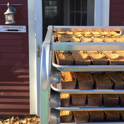 A metal rack filled with baked goods sits outside a red farm kitchen, with a sign reading "FARM KITCHEN" nearby.