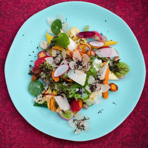 A colorful salad with mixed greens, radishes, and various vegetables on a light blue plate.