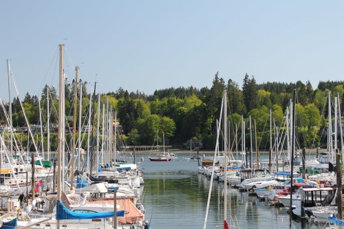 A scenic marina filled with sailboats and yachts, surrounded by lush green trees under a clear blue sky.
