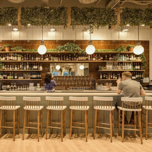 A modern bar with a wooden counter, shelves of drinks, and greenery, featuring two patrons at the bar.