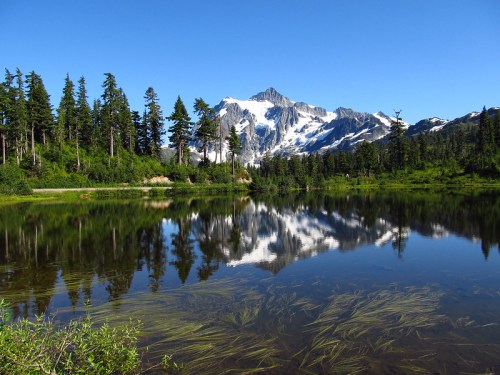 A serene lake reflects a snow-capped mountain surrounded by lush green trees under a clear blue sky.