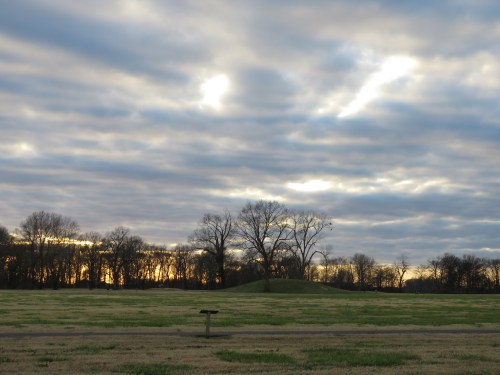 A serene landscape featuring a grassy field, silhouetted trees, and a cloudy sky at sunset.